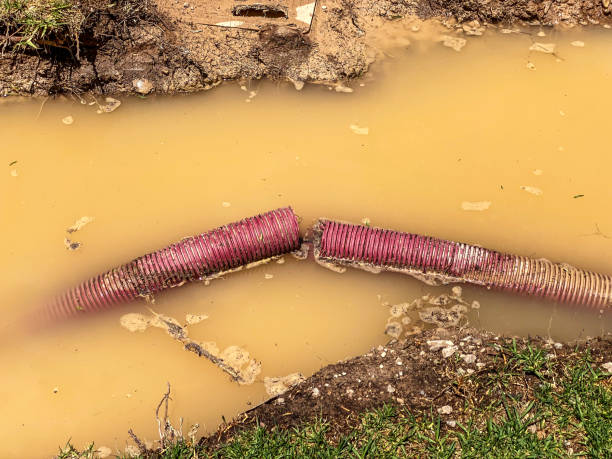 Best Sewage cleanup and water damage restoration  in Perryville, AR